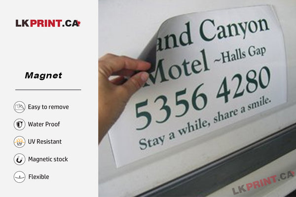 Car Magnet 30pt